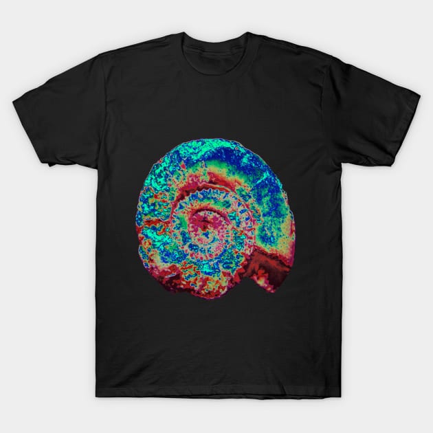 Ammonite T-Shirt by Petemoyes